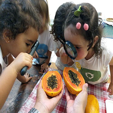 alimentação-educação-infantil alimentação-educação-infantil